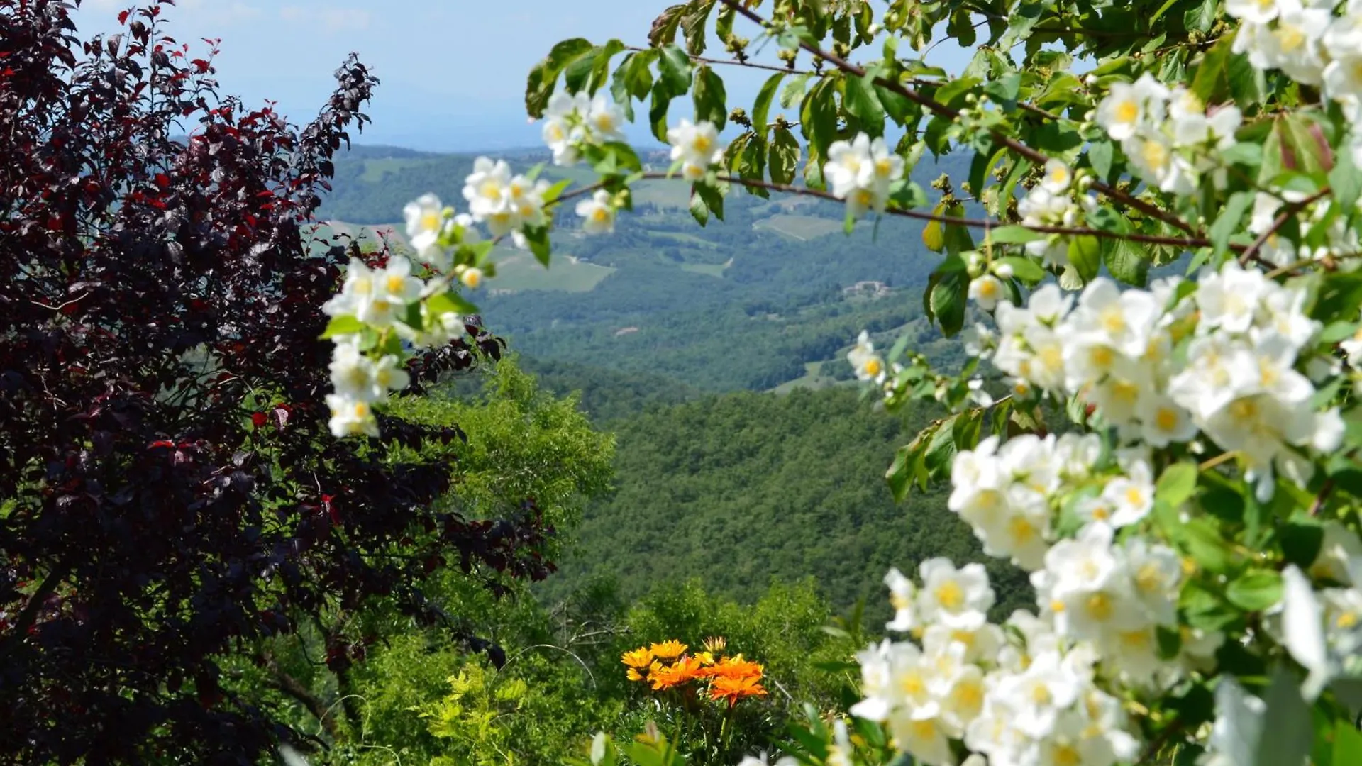 Casa Ercole Farm Stay Greve in Chianti