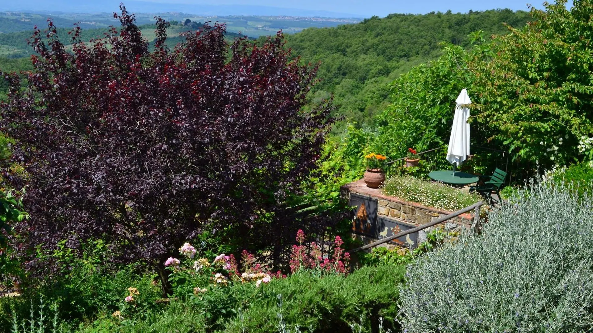 Casa Ercole Farm Stay Greve in Chianti